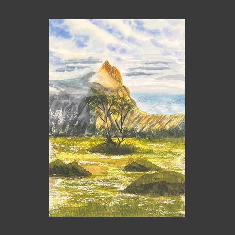 Árboles en el campo