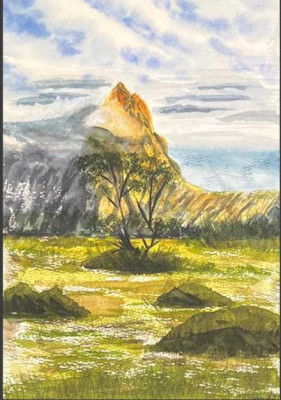 Árboles en el campo