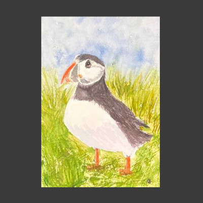 Callejón sin salida