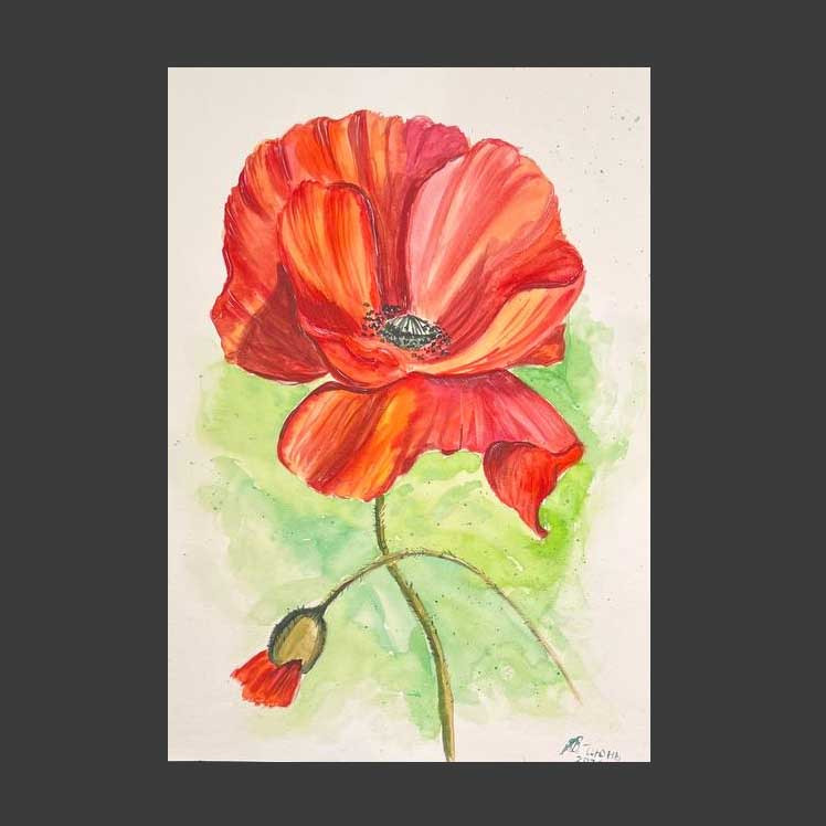 Retrato de amapola