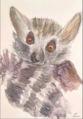 Lemur
