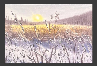 Puesta de sol en el campo