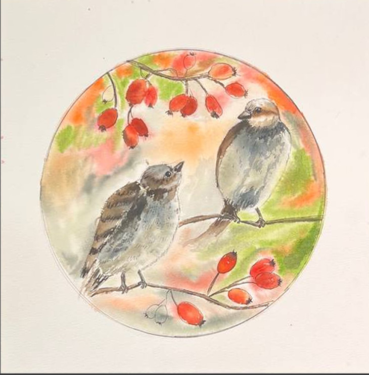 Gorriones en rosa mosqueta