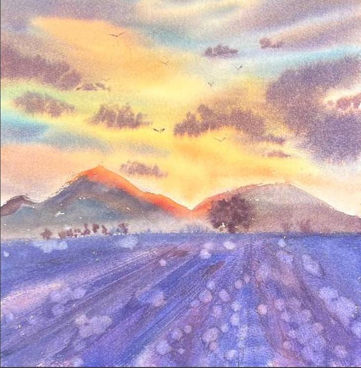 Puesta de sol en campos de lavanda