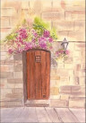Puerta y flores