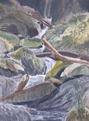 Cascada en las montañas